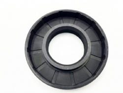 OIL SEAL 30X60.55X10/12